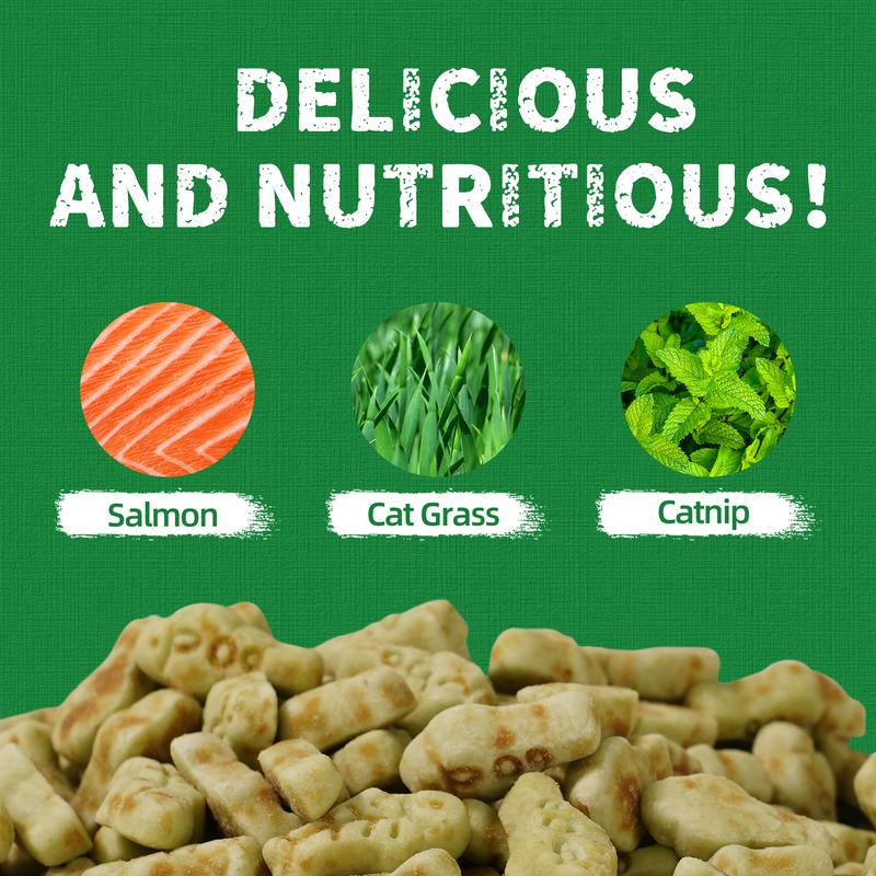 Natural Salmon Flavor Cat Grass Treats — Healthy Snack for Happy Cats
