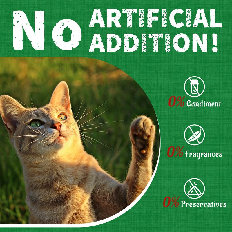 Natural Salmon Flavor Cat Grass Treats — Healthy Snack for Happy Cats