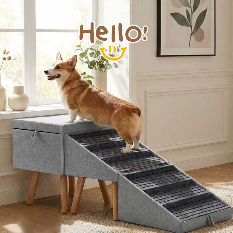 Foldable 2-in-1 Dog Ramp for Easy Storage & Use