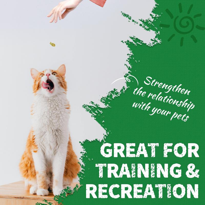 Natural Salmon Flavor Cat Grass Treats — Healthy Snack for Happy Cats